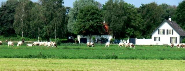 Foto: Jopie vd Winkel