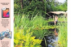 eindhovens-dagblad